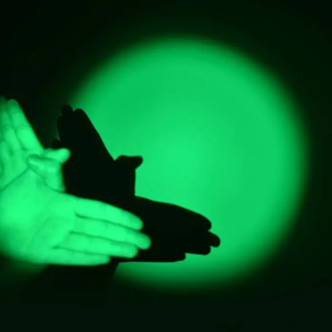 3 Pack Green Light Flashlight, Zoomable 3 Modes Mini Green LED Flashlight, Green Flashlight Torch for Hiking, Camping, Night Observation