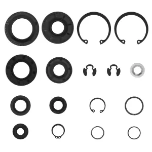 70853 Overhaul Rebuild Retaining Ring Kit 70853 Seal kit Fit for Lawn Mower Hydro-Gear Cub Cadet Lawn Mower Transmission