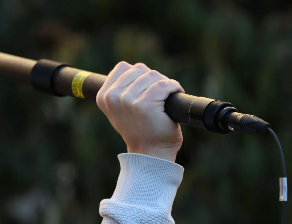 cable Buy-one-get-one-free internal with boom pole AMBIENT QP565 Fast-moving sale