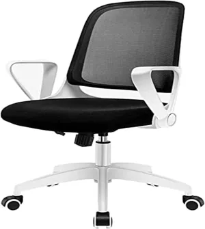 Chair Office Ergonomic Chair Rotating Handrail Small Space Dedicated Breathable Mesh Swivel Chair Bearing Weight (Color : Light Green)