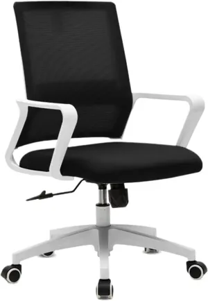 Classic Ergonomic Mesh Rolling Work Swivel Task Chairs, Comfortable Lumbar Support for Home, Bedroom, Study, Dorm, Student, Adults Desk Task Chair(Black)