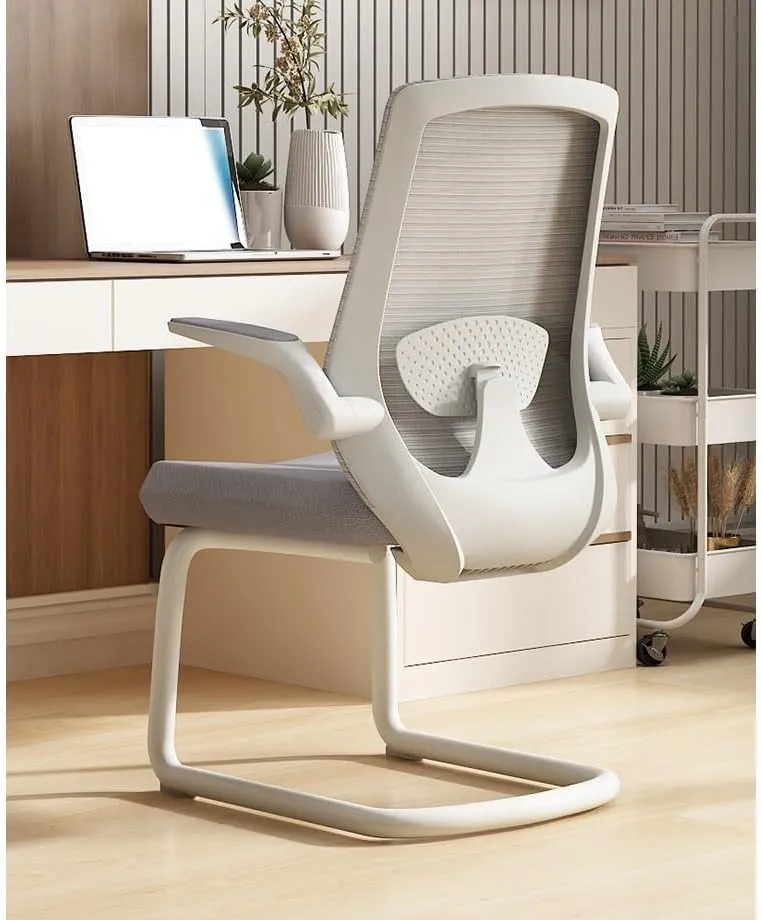 Classic Executive Office Chair with Adjustable Armrests and Metal Sled Base High Back Mesh Desk Chair for Adult Working Study Desk Task Chair(White)