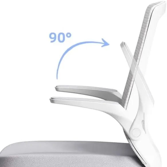 Classic Executive Office Chair with Adjustable Armrests and Metal Sled Base High Back Mesh Desk Chair for Adult Working Study Desk Task Chair(White)