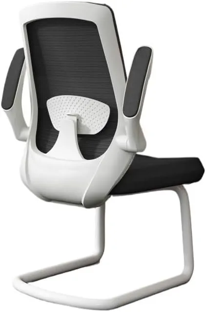 Classic Executive Office Chair with Adjustable Armrests and Metal Sled Base High Back Mesh Desk Chair for Adult Working Study Desk Task Chair(White)