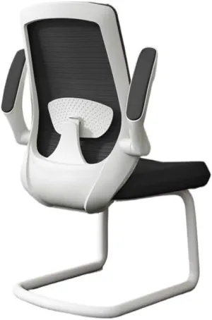 Classic Executive Office Chair with Adjustable Armrests and Metal Sled Base High Back Mesh Desk Chair for Adult Working Study Desk Task Chair(White)