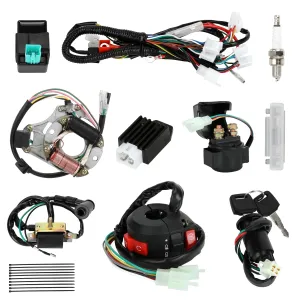 Complete Wiring Harness Kit Compatible with Tao tao Coolster 110cc 125cc Chinese ATV Quad 4 Wheeler 4 Stroke Parts with Starter Solenoid Relay Ignition Coil Stator Voltage Regulator CDI Box