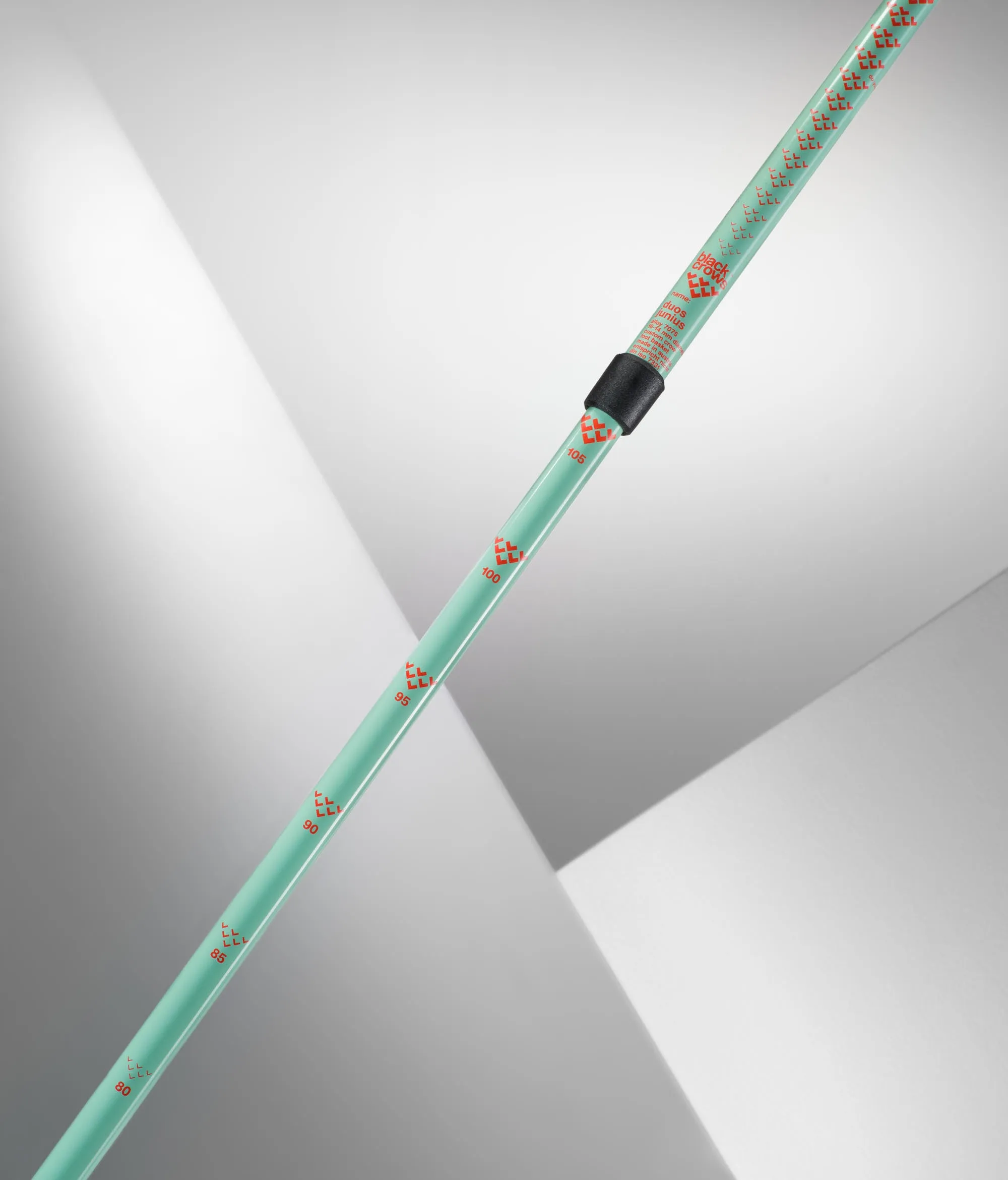 Duos Junius Poles