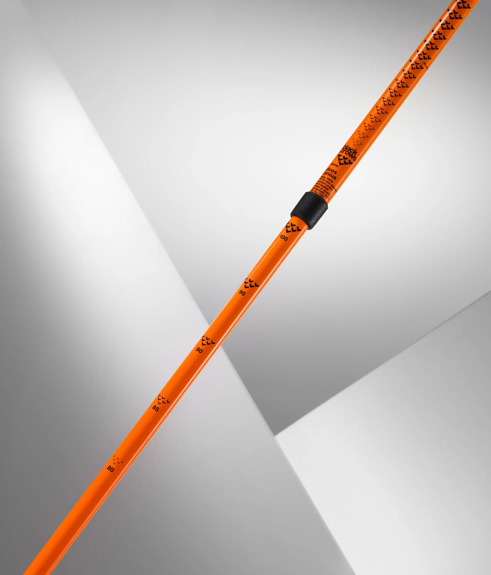 Duos Junius Poles