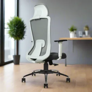 EgroGlide Executive High Back Office Chair