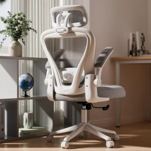 Ergonomic Office Chair M903, High Back Comfy Mesh Desk Chair with Wheels, Adjustable Lumbar Support, Headrest, Grey