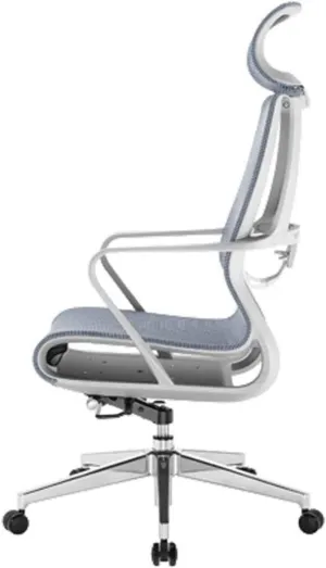 Executive Swivel Office Chair Ergonomic Chair Home Computer Chair Study Chair Modern Minimalist Mesh Breathable Chair Lift Office Chair Comfortable and Healthy Waist Support Chair (Color : Blue)