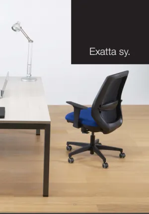 EXXATA SY80 MESH Mid-Range Ergonomic Chair   2D ARMS