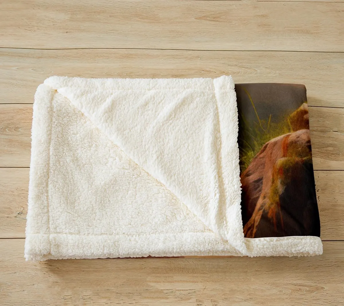 Fierce Lion Throw Blanket,Wild Animal Theme Bed Blanket Kids Teens Adults Men Home Room Decor,African Plateau Natural Scenery Fuzzy Blanket,3D Lion Sunset Fleece Blanket,for Chair/Sofa,60"×80"
