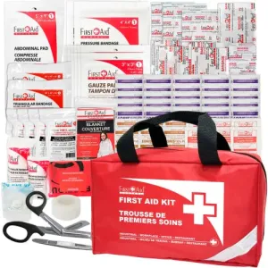 First Aid Central™ CSA Type 2 Basic First Aid Kit, Small, (2-25 Workers), Nylon Bag