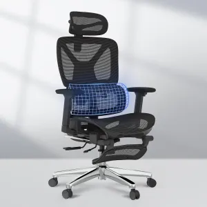 FLEXISPOT ErgoX Premium Ergonomic Office Chair with Footrest- Adjustable 3D Armrests, Dynamic Lumbar Support, Recline & Tilt Function, Mesh Seat, for Home & Office Use,Black