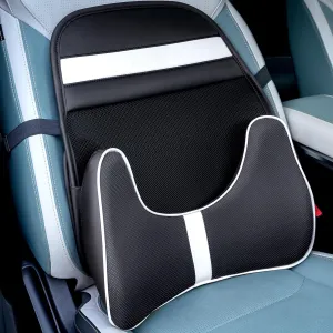 FLORICH Double Layer Breathable Mesh Lumbar Support Ergonomic Lumbar Support Pillow with 3D Mesh Back Support and Adjustable Strap for CarSeat & Office Chair