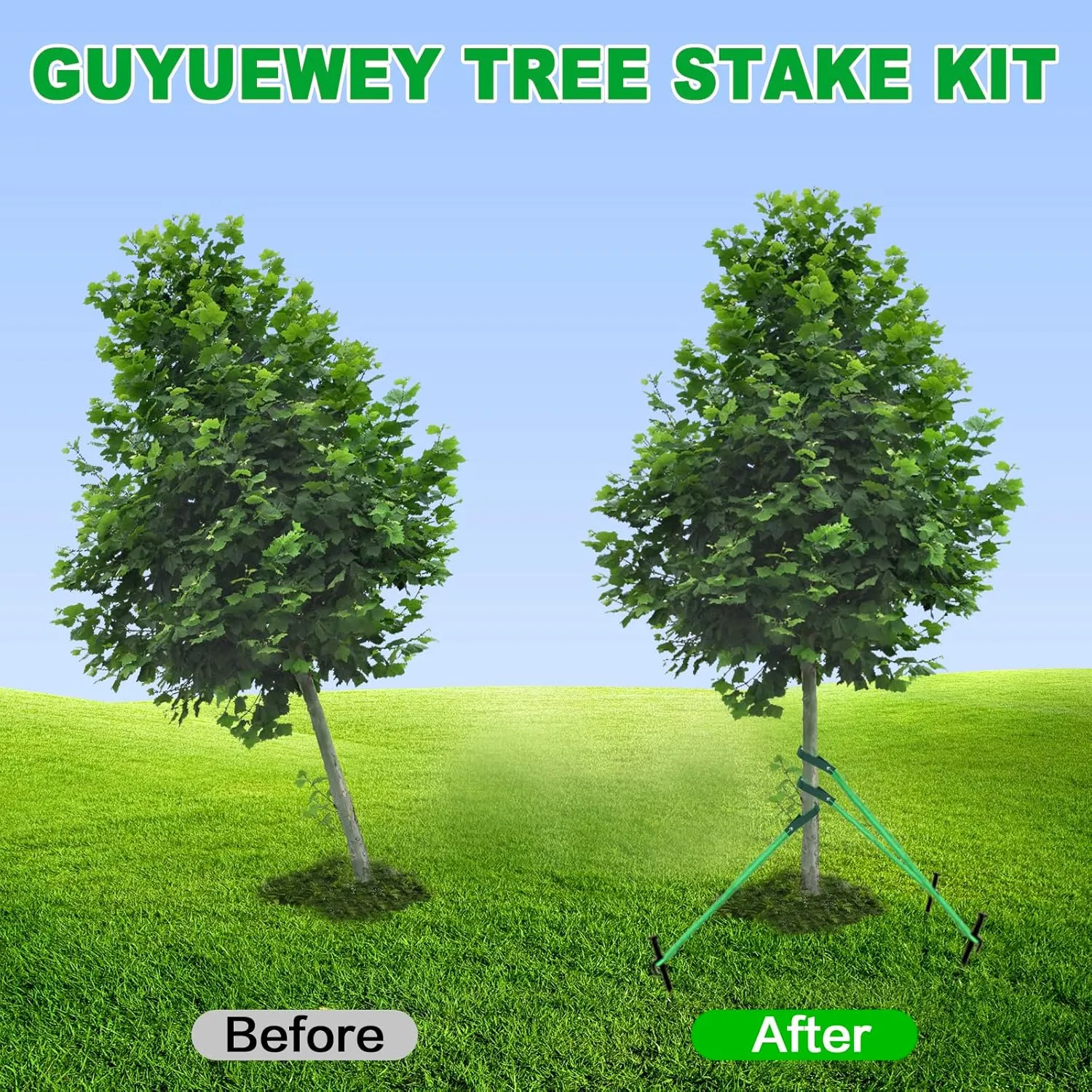Heavy Duty Tree Stake Kit - Tree Stakes & Straps for Straightening Young Trees, Garden Tree Supports, 6pcs Metal Stakes, 6pcs Rope for Anchoring