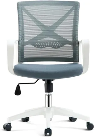 Home Office Desk Chairs, Swivel Chair Liftable and Rotating Comfortable Breathable Mesh Backrest Office Computer Chair (Color : White Frame Gray)