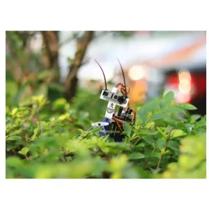 Insect bot Insect Robot kit Winder