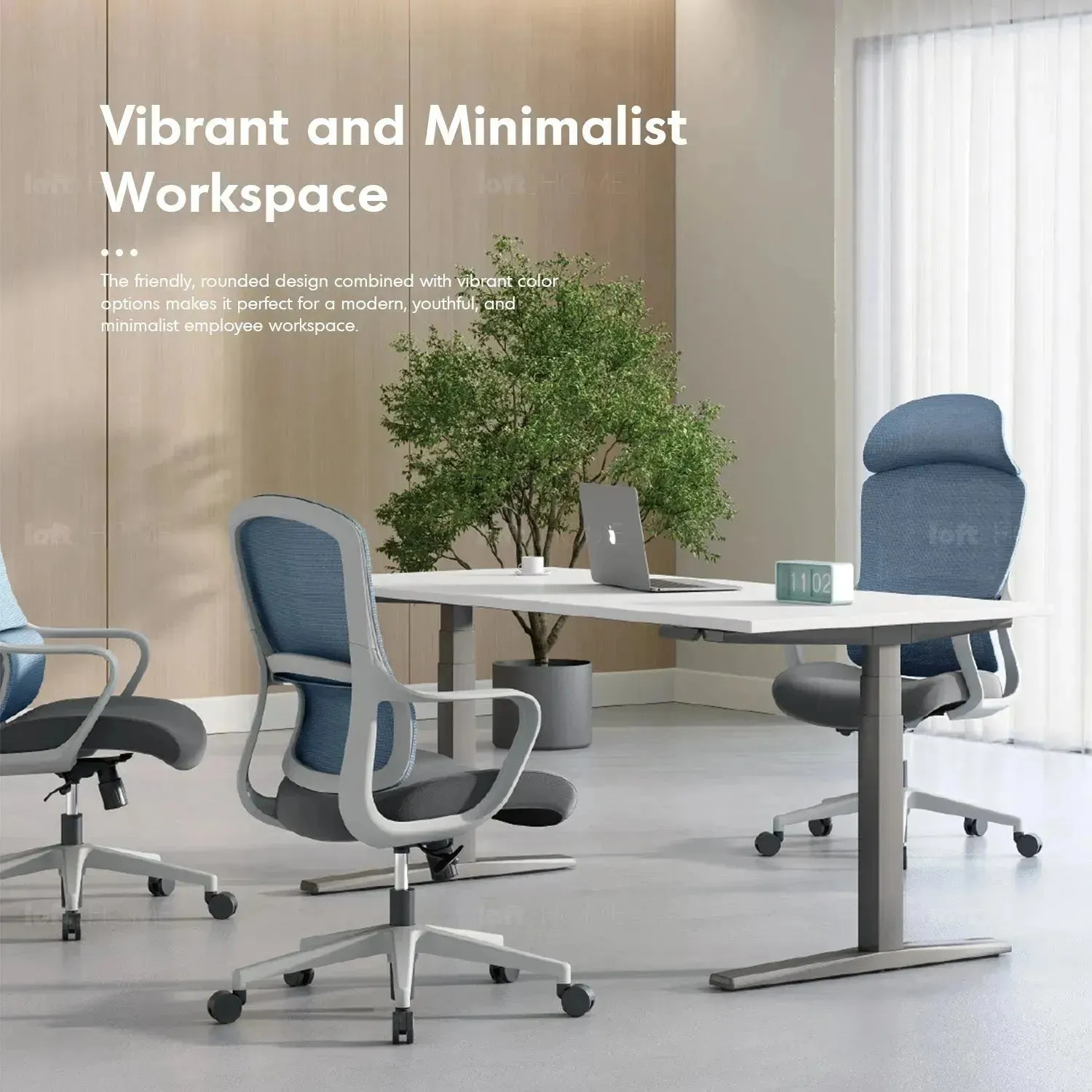 Modern Mesh Ergonomic Office Chair CURVE