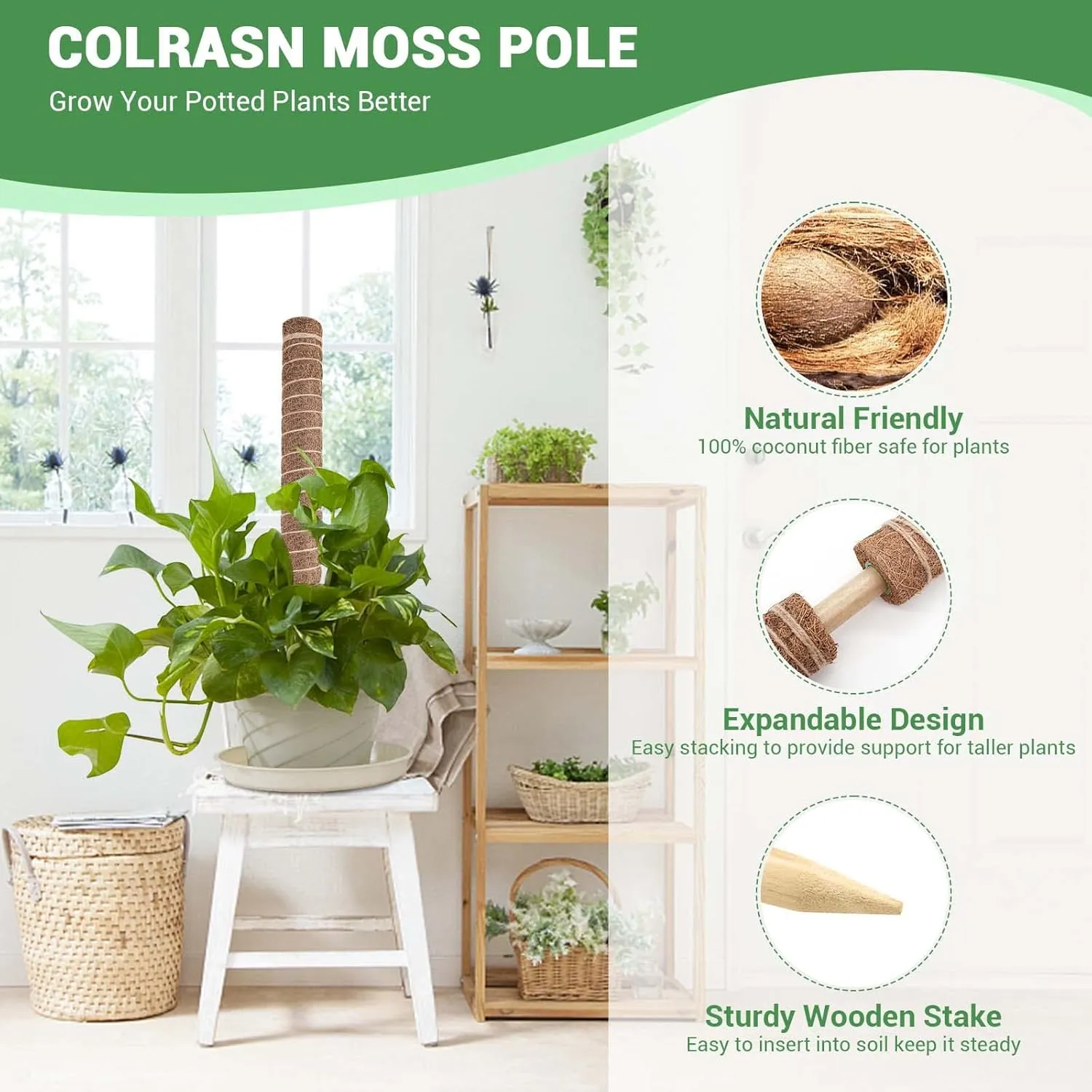Moss Pole for Plants Monstera, Extra-Long 115 inch Moss Stick for Climbing Plants, 4 Pcs 20.5" and 2 Pcs 16.5" Coco Coir Pole for Indoor Potted Plants Grow Upwards, Totem Pole Plant Support
