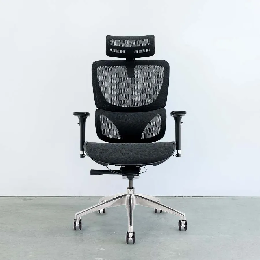 Motion SpaceMesh Office Chair