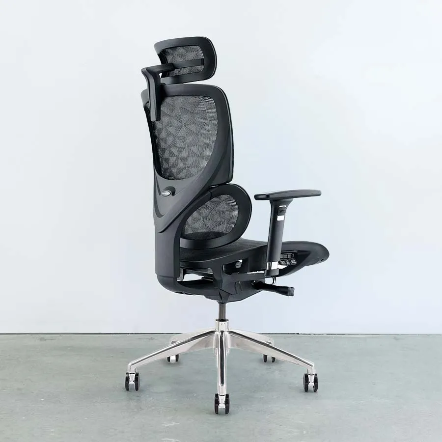 Motion SpaceMesh Office Chair