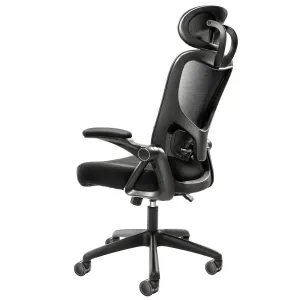 Office Chair with Adjustable Lumbar Support, High Back Ergonomic Desk Chair