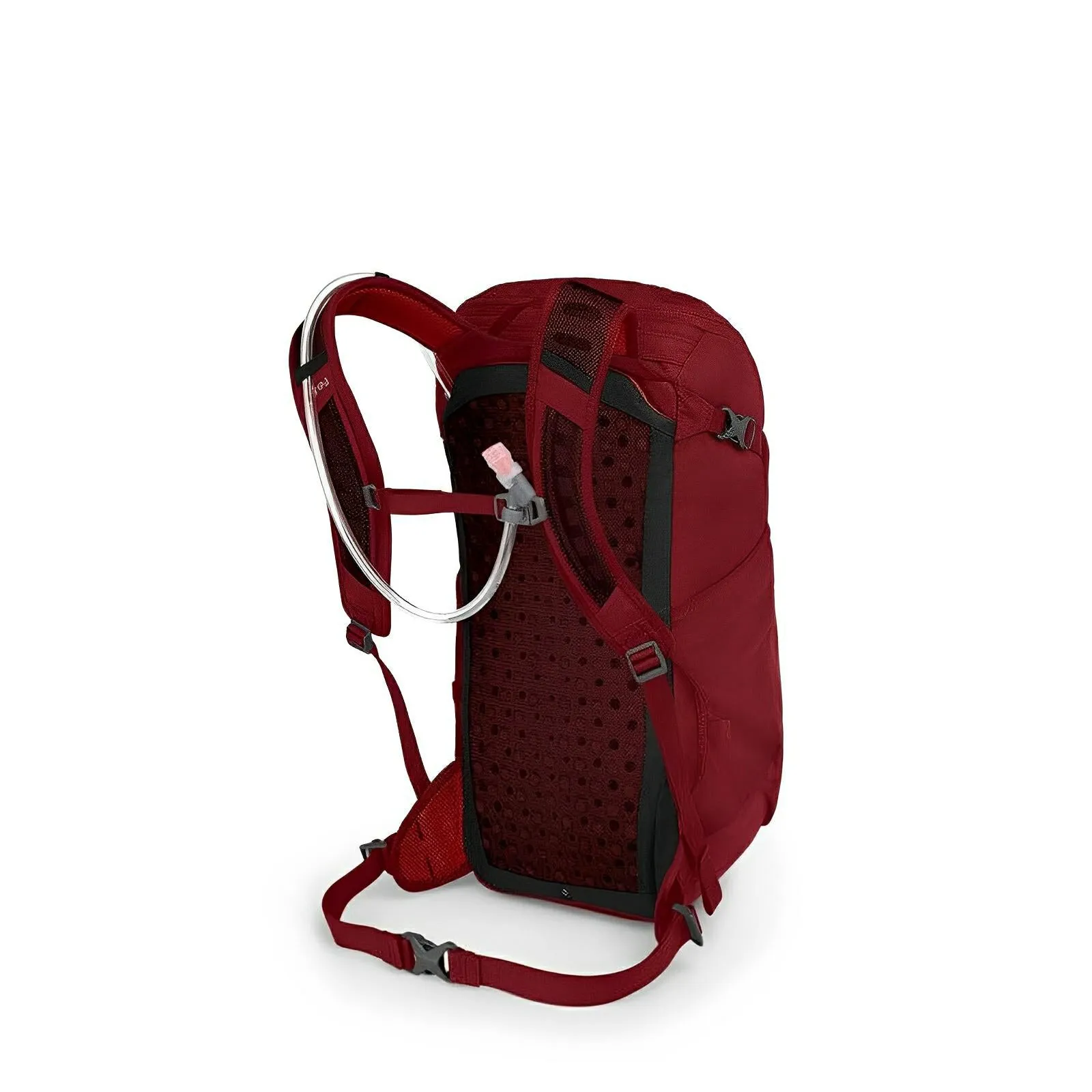 Osprey Skarab 22L Hiking Backpack