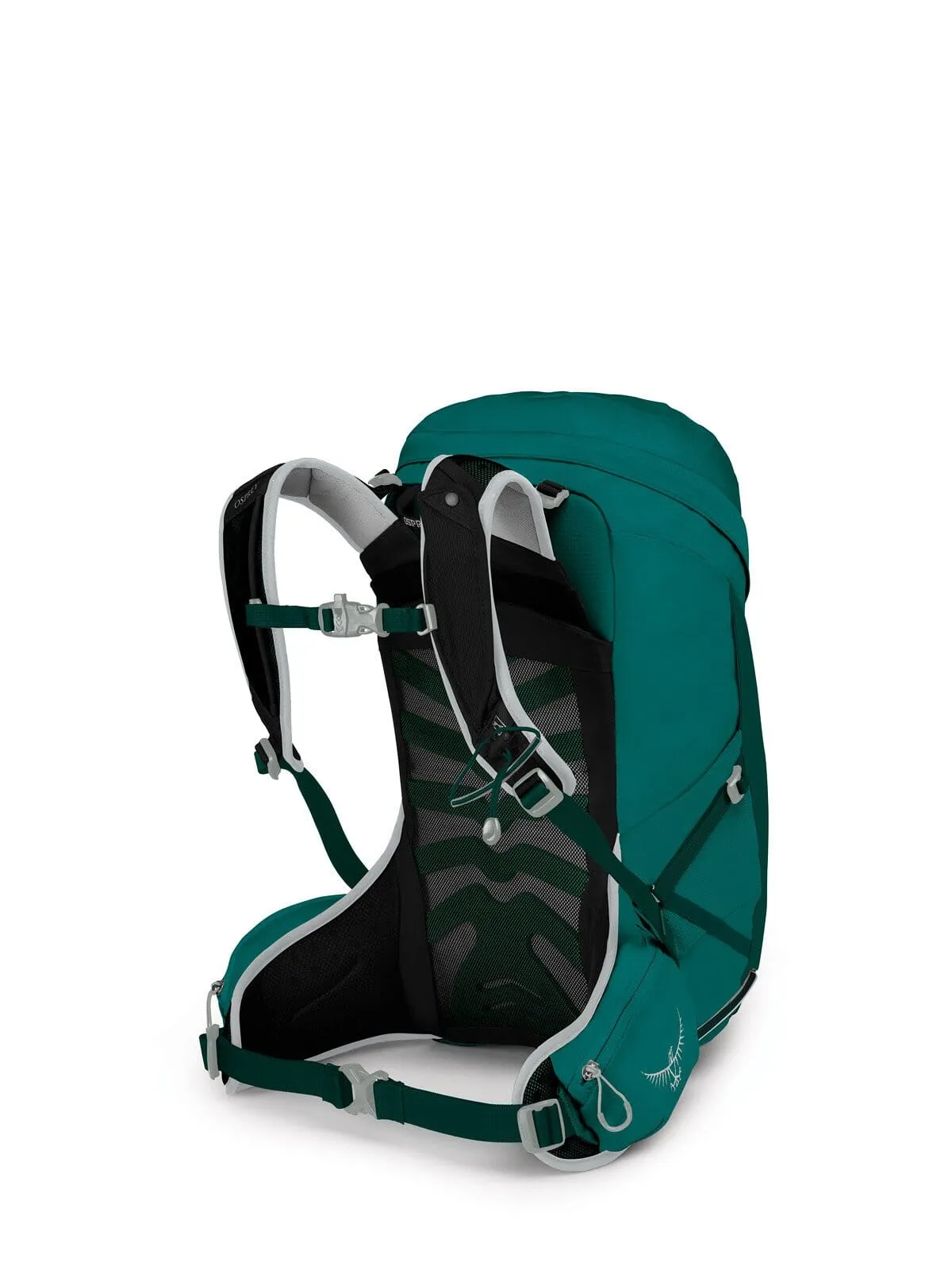 Osprey Tempest 24 Women's Day Hiking Backpack