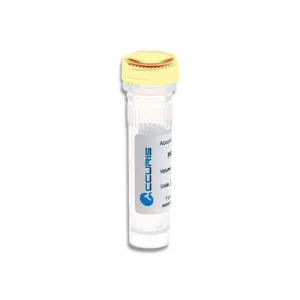 PR2100-C-250 Qmax Cdna Synthesis Kit,250 Reactions