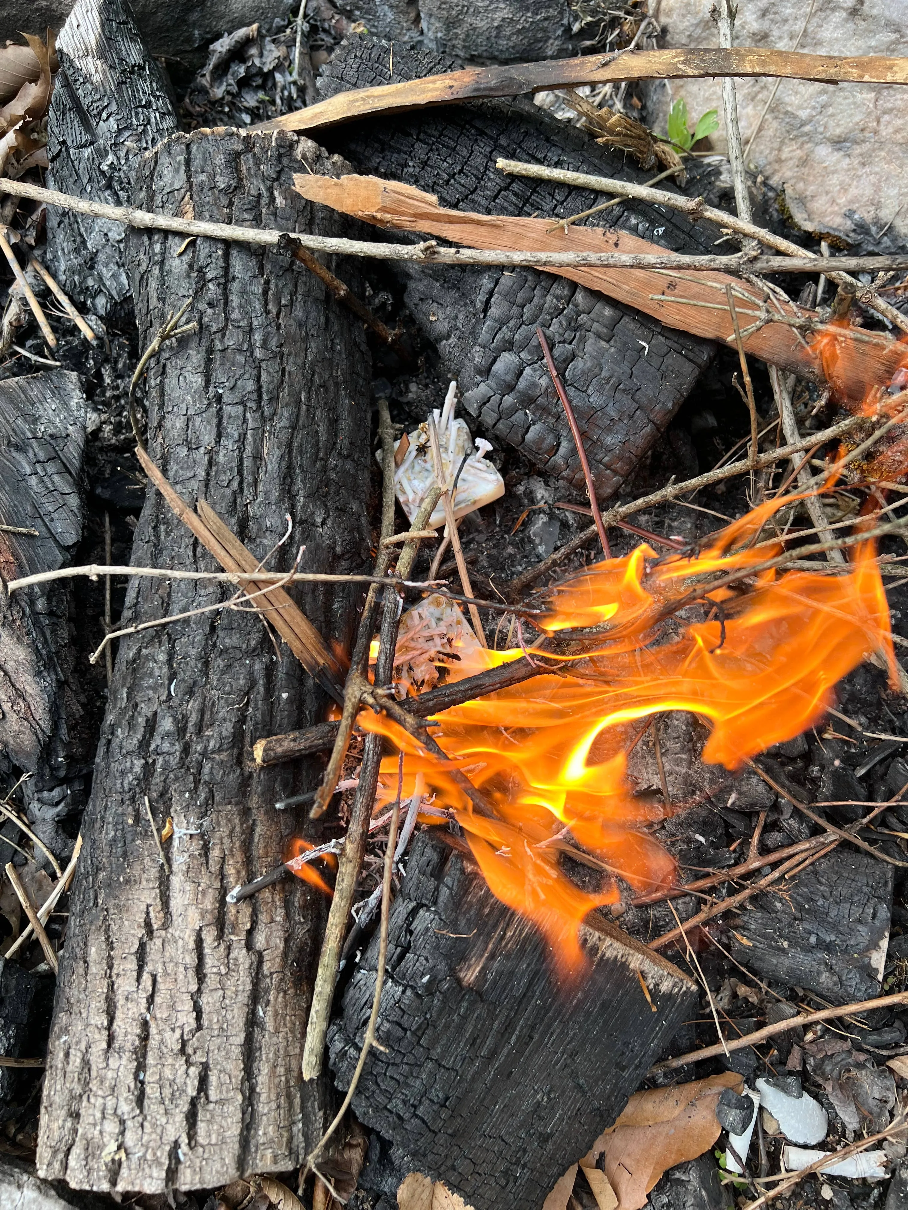 Rose Wolf Collective - Fire Starter