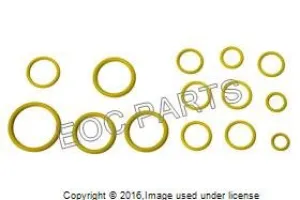 Santech 30 7598 134 A/c O-Ring Kit