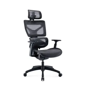 Tygerclaw High Back Executive Ergonomic Mesh Office Chair - Black|Fauteuil président ergonomique en mailles TygerClaw à dossier haut - noir
