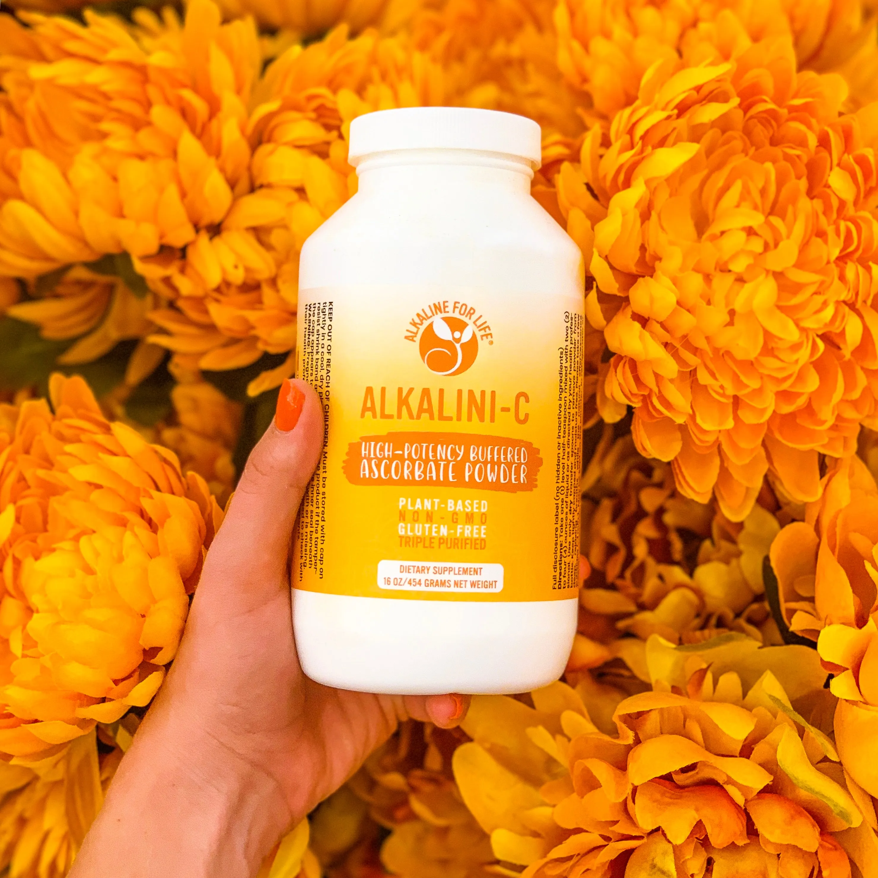 Ultimate Alkaline Bundle — Special Offer