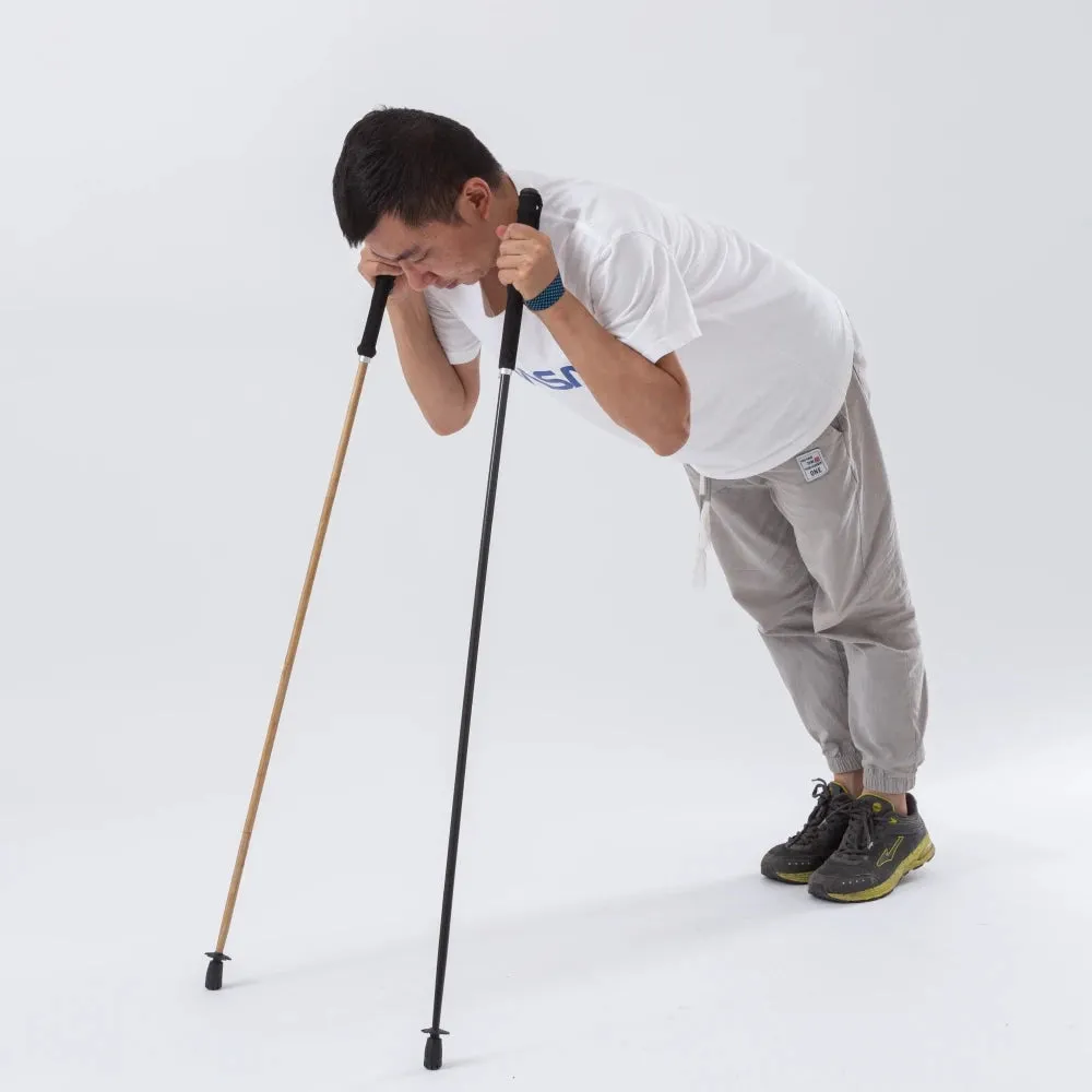 Ultra-Lightweight Foldable Carbon Fiber Trekking Poles – Hiking Sticks for Mountain Climbing/Walking