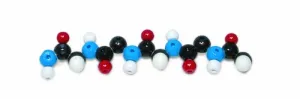 W19751 30 Piece Polypeptide Molecular Model Kit
